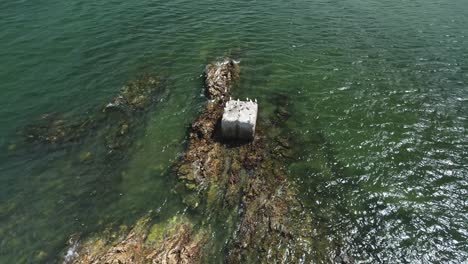 aerial view of birds resting in the middle of rock on the sea