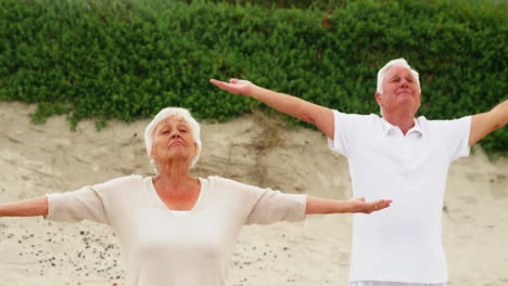 senior couple performing yoga