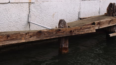 wood pilings attached to concrete wall in the venice canal in italy