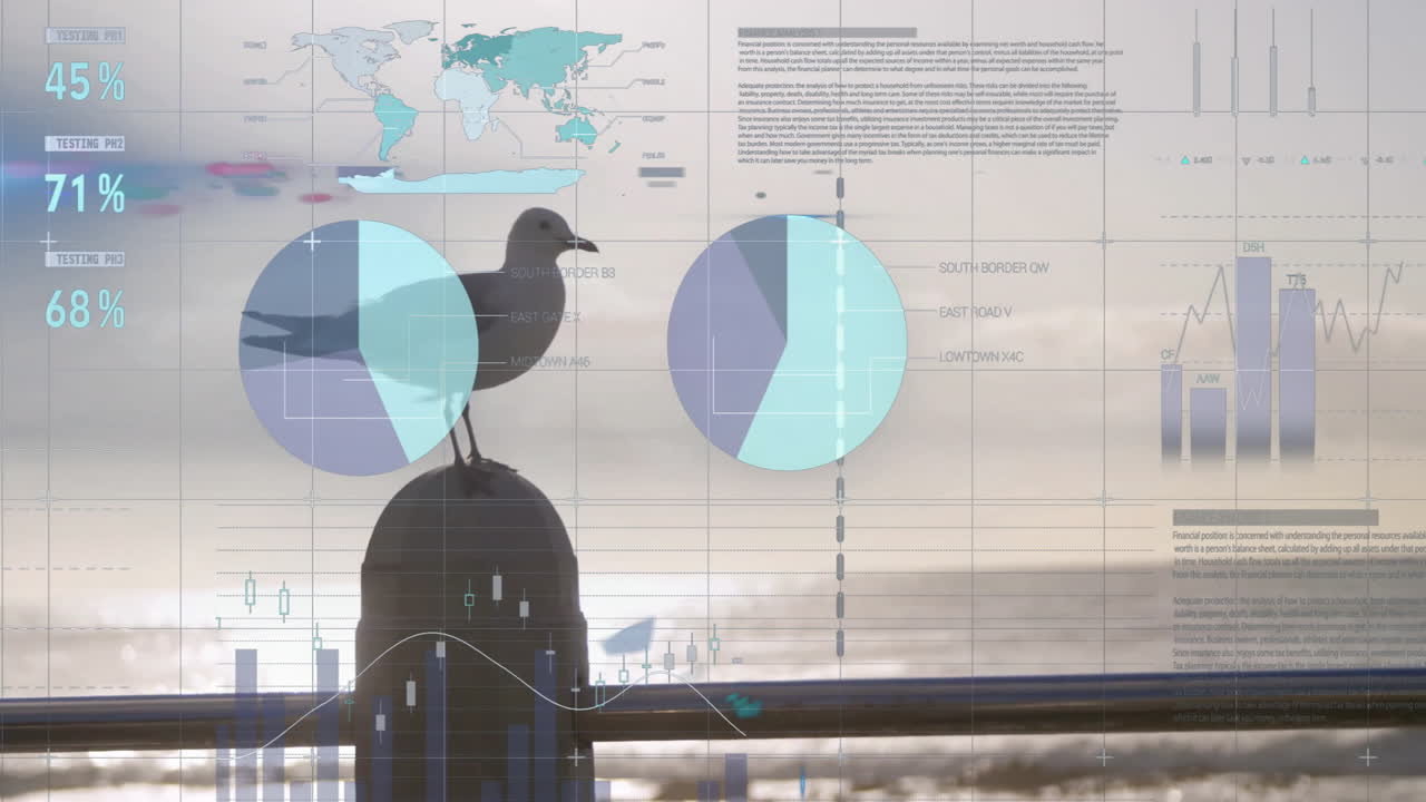 seagull perching atop bollard overlooking waterfront while map infographics drifting across scene