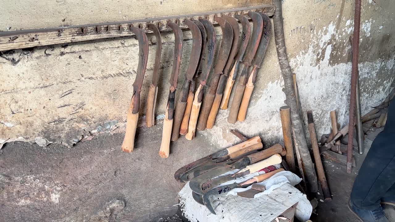 Crescent hand made tool agriculture weed cultivation farmer hands using a hoe an agriculture hand tool moving soil preparing young tree in organic farm choosing in workshop wooden handle sharp blade