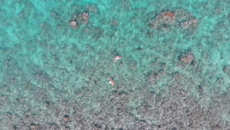 young couple snorkelling in clear green ocean