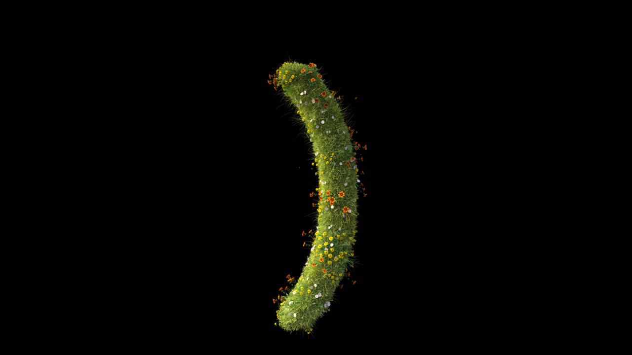 Simbolo di parentesi animato che si forma con erba e fiori