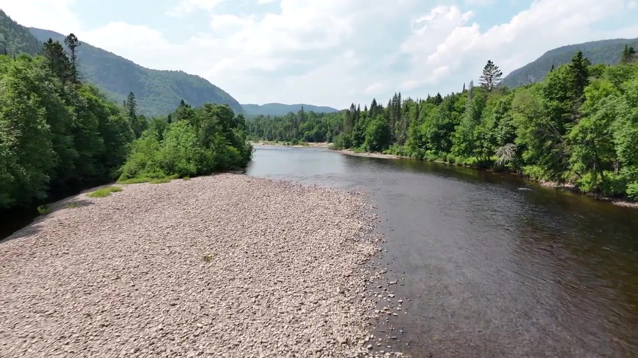 Volo aereo a bassa quota sopra un fiume che scorre attraverso una valle boscosa verde nella regione del Fiordo di Saguenay, Quebec, Canada, riprese con drone.