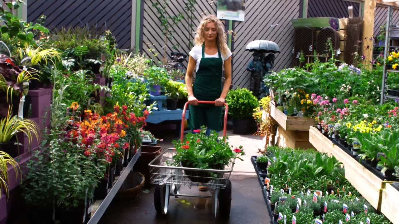 florista usando un carrito de jardín