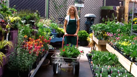 Florista-Femenina-Usando-Carrito-De-Jardín