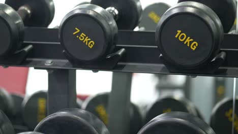 filas de pesas en el gimnasio