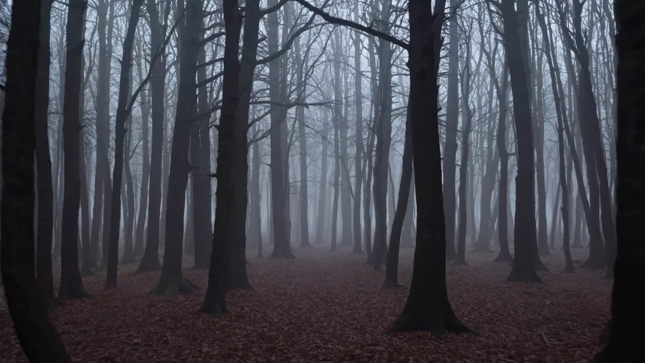 Upiorna scena leśna z nagimi drzewami we mgle, uchwycona na poziomie oczu