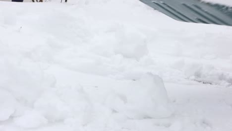 shovel for snow - snow cleaning during winter - close up