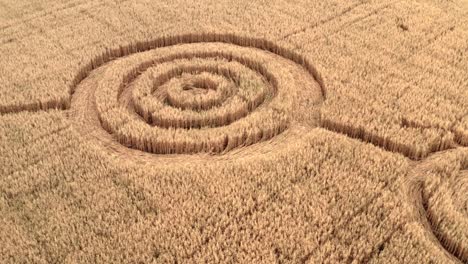 fake ufo circles on grain crop yellow field, aerial view from drone. round geometry shape symbols as alien signs, mystery concept