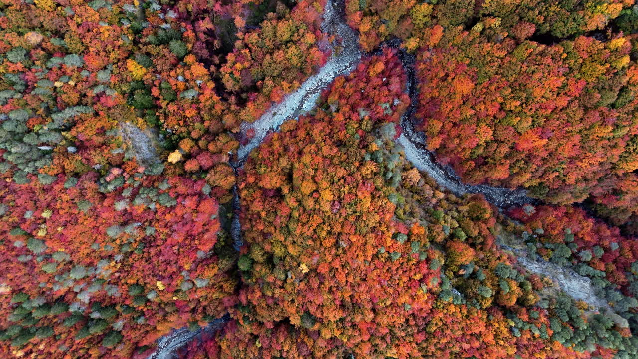 Autumn forest aerial view showcasing colorful foliage and winding river