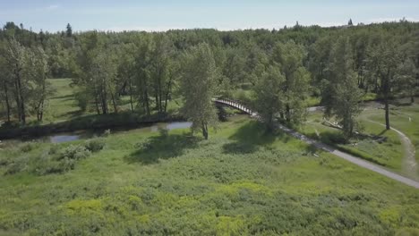 Eine-Bogenbrücke-über-Einen-Trägen-Graslandbach