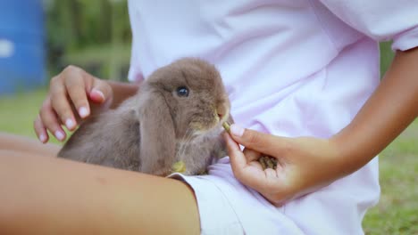 easter bunny eating food and sitting on girl lap