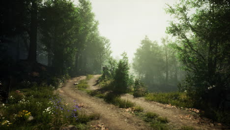 a misty forest path with sunlight streaming through the trees