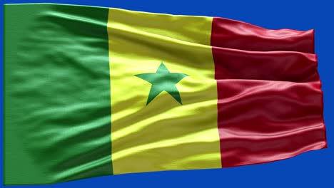 4k highly detailed flag of senegal - senegal flag high detail - national flag senegal wave pattern loopable elements