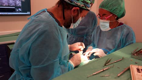 dentista y asistente que enseña a un interno en una clínica dental