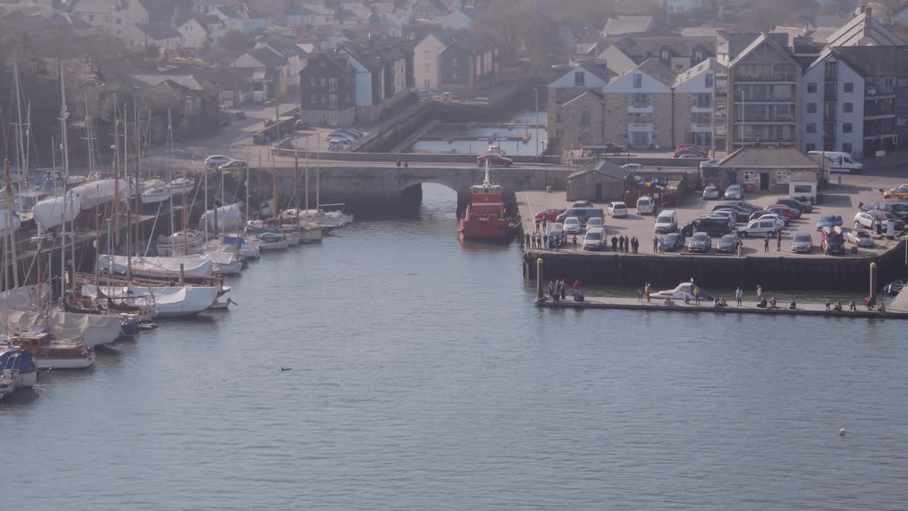 Aerial of dolphins swimming and playing around the quay in a busy Penryn, on the Penryn river. Near Falmouth, Cornwall