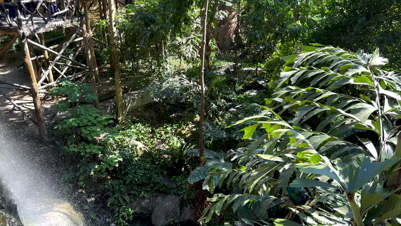 cascada serena en medio de un follaje tropical vibrante