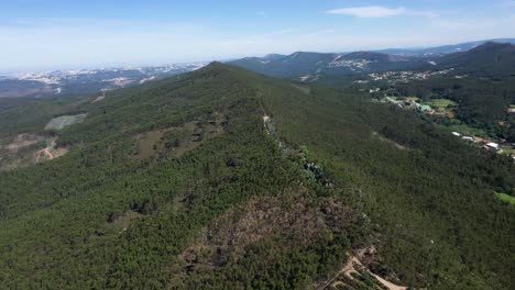 panorámica aérea que establece el bosque ridgeline de gondomar portugal
