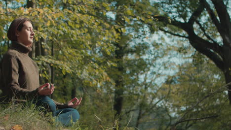 the camera slowly pans from an autumn tree to a meditating woman sitting in the grass