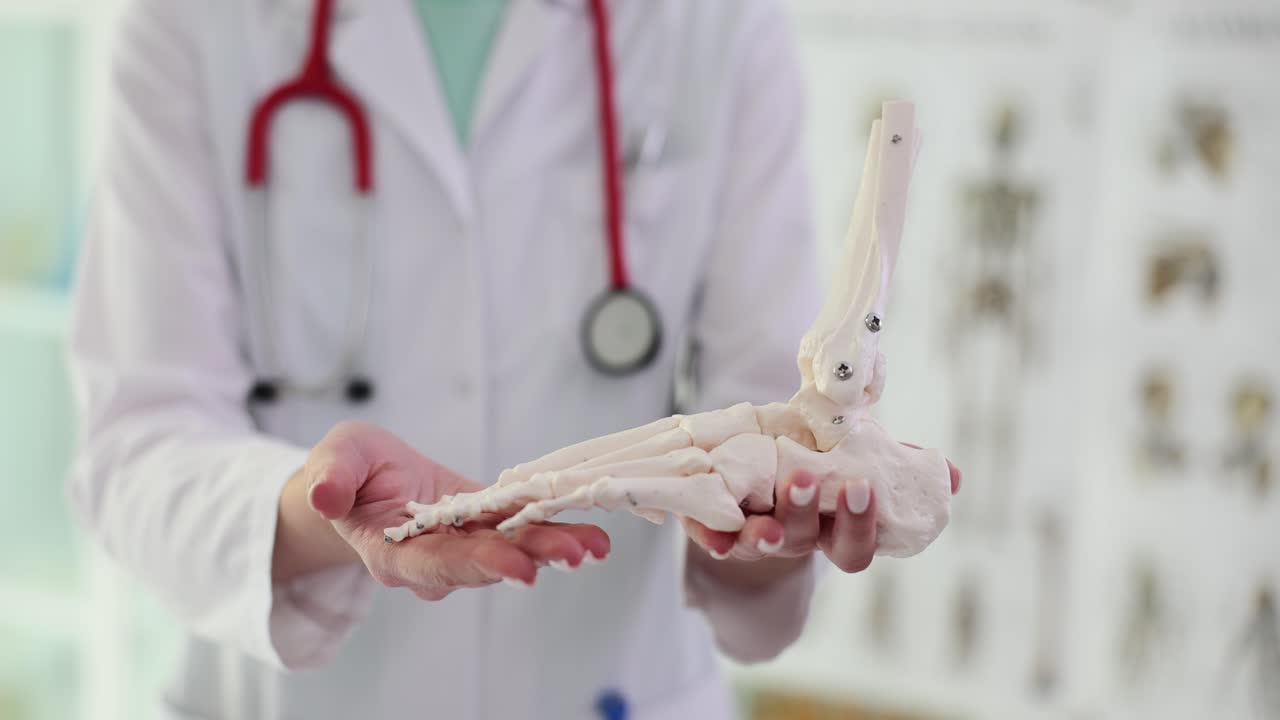 Doctor holding an anatomical foot model