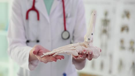 doctor holding an anatomical foot model