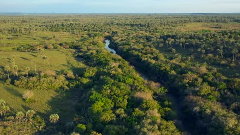 Fluss-In-Der-Savanne,-Luftaufnahme-Nach-Oben-Und-Hinten,-Goldene-Stunde-über-Den-Palmen-Und-Dem-Fluss-Arroyo-De-Las-Cotorras,-Entre-Ríos,-Argentinien