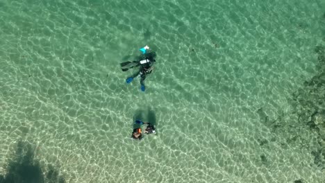 scuba divers in the water viewed from above