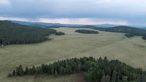 aerial view of a grassland with many pines in a camping area of arizona