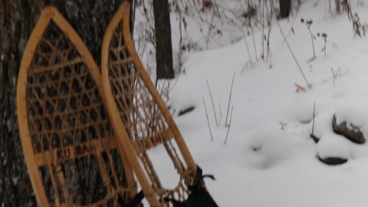A pair of genuine traditional Inuit - Native America -Indigenous made snow shoes leaning against a tree in the Canadian Arctic.