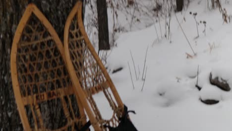 a pair of genuine traditional inuit - native america -indigenous made snow shoes leaning against a tree in the canadian arctic.