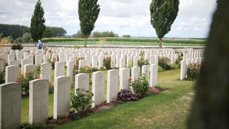 headstones at a war memorial cemetery amongst a beautiful green garden with red roses in ypres beglium, sliding handheld shot