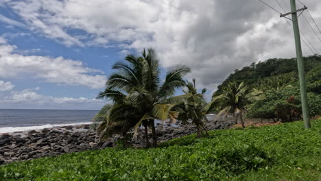 POV-out-the-window-of-car-driving-past-the-ocean-in-Samoa