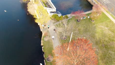 Aerial over man walking dog on Argyle Lake Park shoreline path tilts up to view Babylon, New York