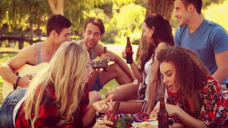 Amigos-Felices-En-El-Parque-Haciendo-Picnic