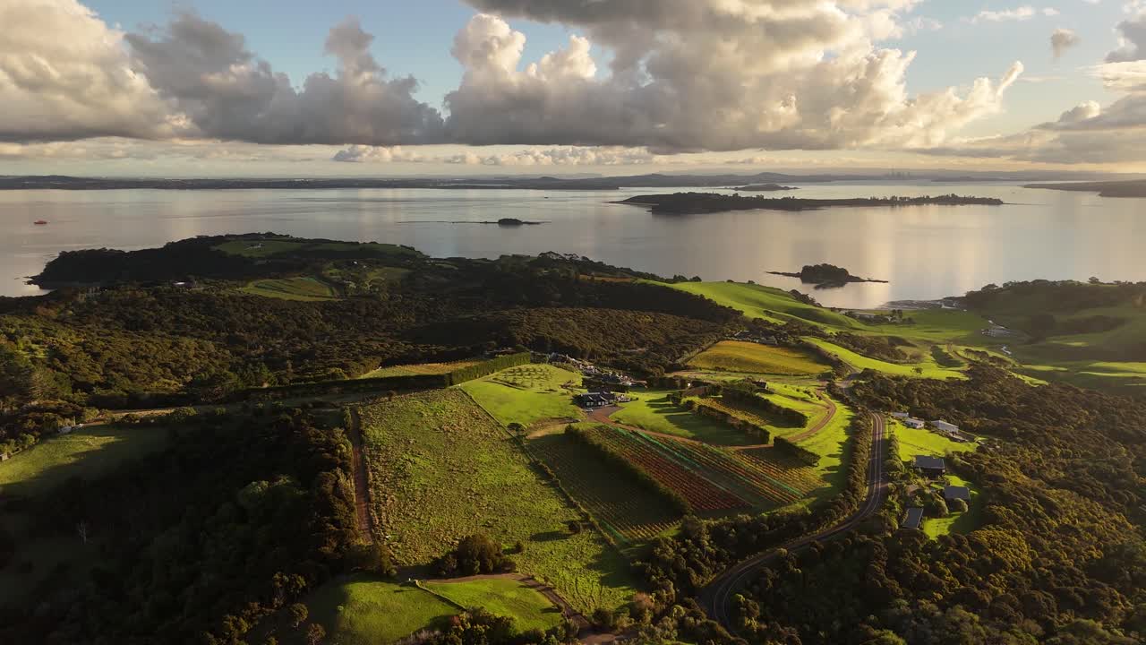 Hilltop houses and vineyards, Waiheke Island at dusk, New Zealand. Aerial drone