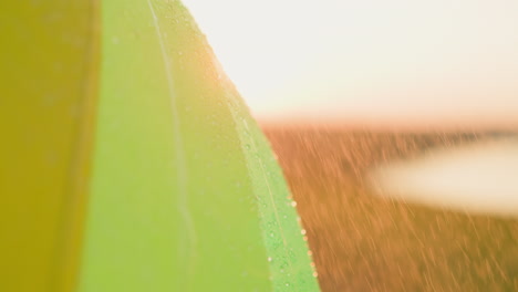 primer plano de una tienda verde cubierta de gotas de lluvia durante la puesta del sol