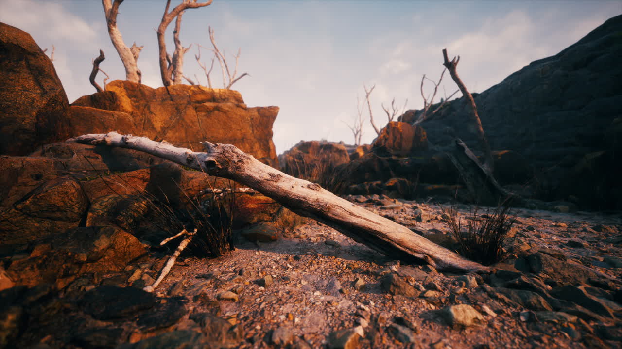 건조한 죽은 나무 가지와 산꼭대기