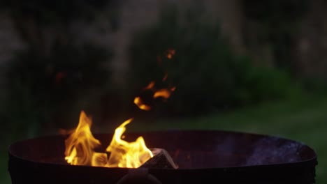 Throwing-a-Log-into-Fire-Pit-4K