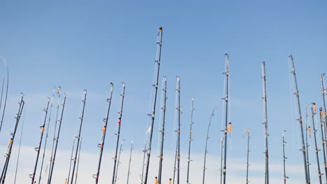 fishing rods