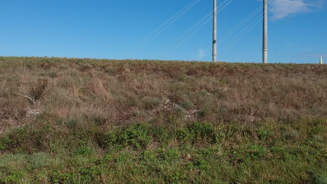 습지 에 있는 건설 현장 의 공중 탐사