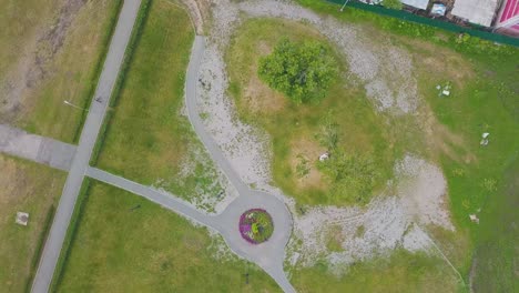 Jungvermählten-Unter-Altem-Baum-Im-Jungen-Park-Aus-Der-Vogelperspektive