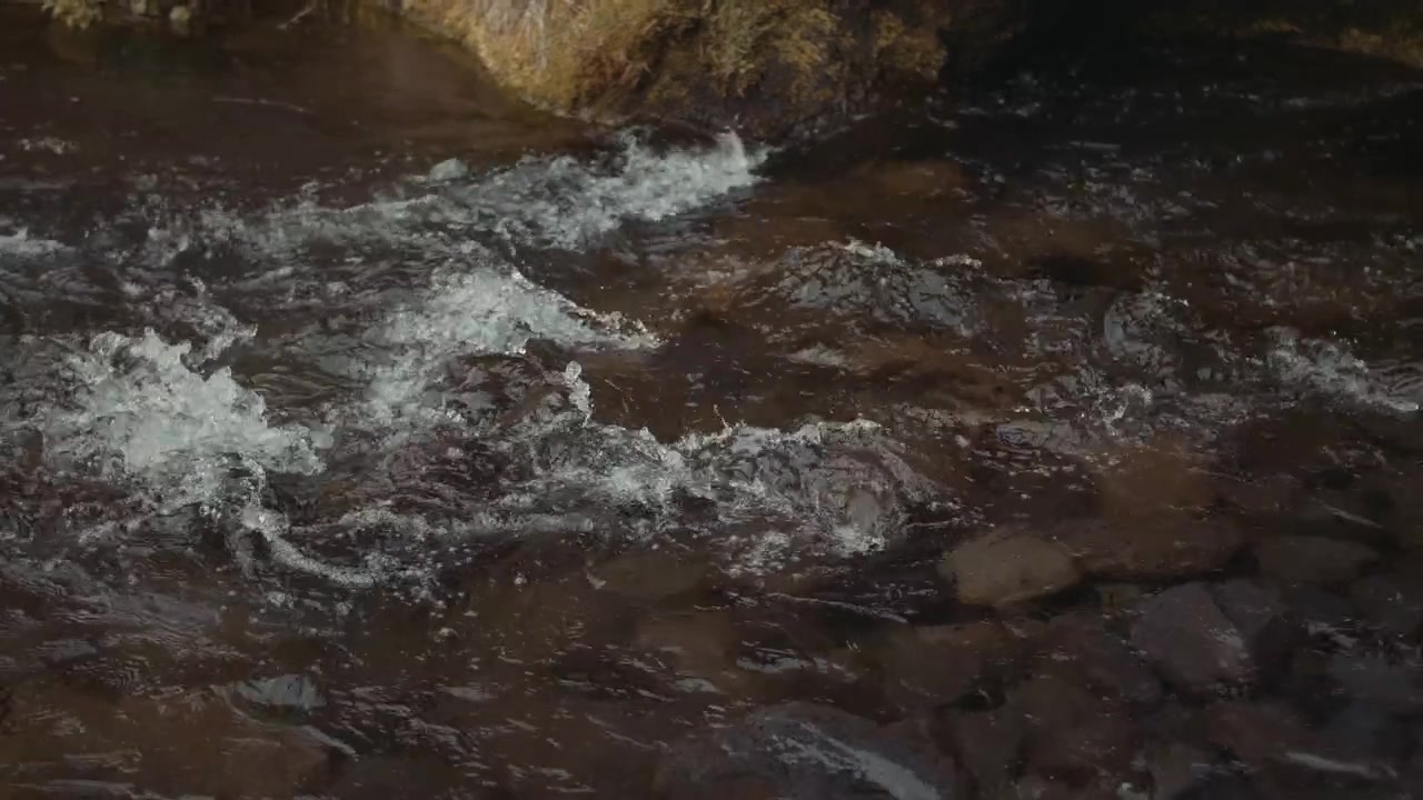 Primo piano di acqua limpida che scorre sulle rocce in un ruscello sereno