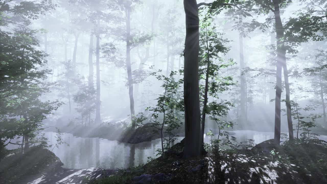 Mysterious forest with fog and sunlight illuminating a tranquil pond