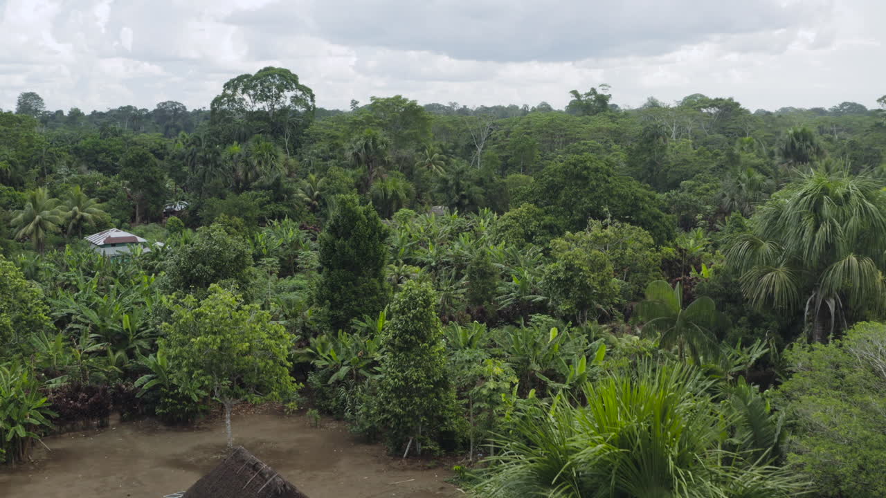 Aerial shot, Amazon community, Ecuador