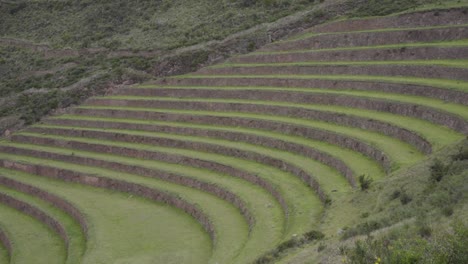 antiguas terrazas incas en el parque arqueológico de pisac, región de cuzco, perú