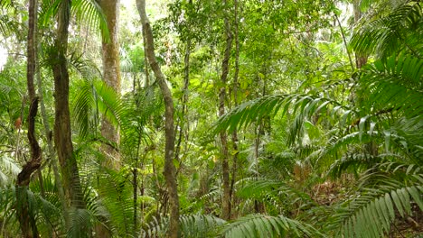 front view of all the flora that exists in the jungle, vibrant colors