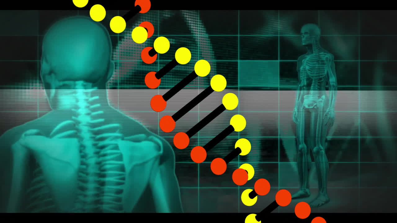 animación de esqueletos digitales sobre una cadena de adn