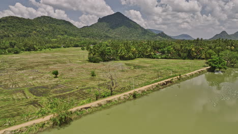 Ibbagamuwa-Sri-Lanka-Aerial-v5-flyover-agricultural-farmlands-capturing-dry-cultivation-of-rice-paddy-fields,-coconut-palms-and-hillside-lush-jungle-landscape---Shot-with-Mavic-3-Cine---April-2023