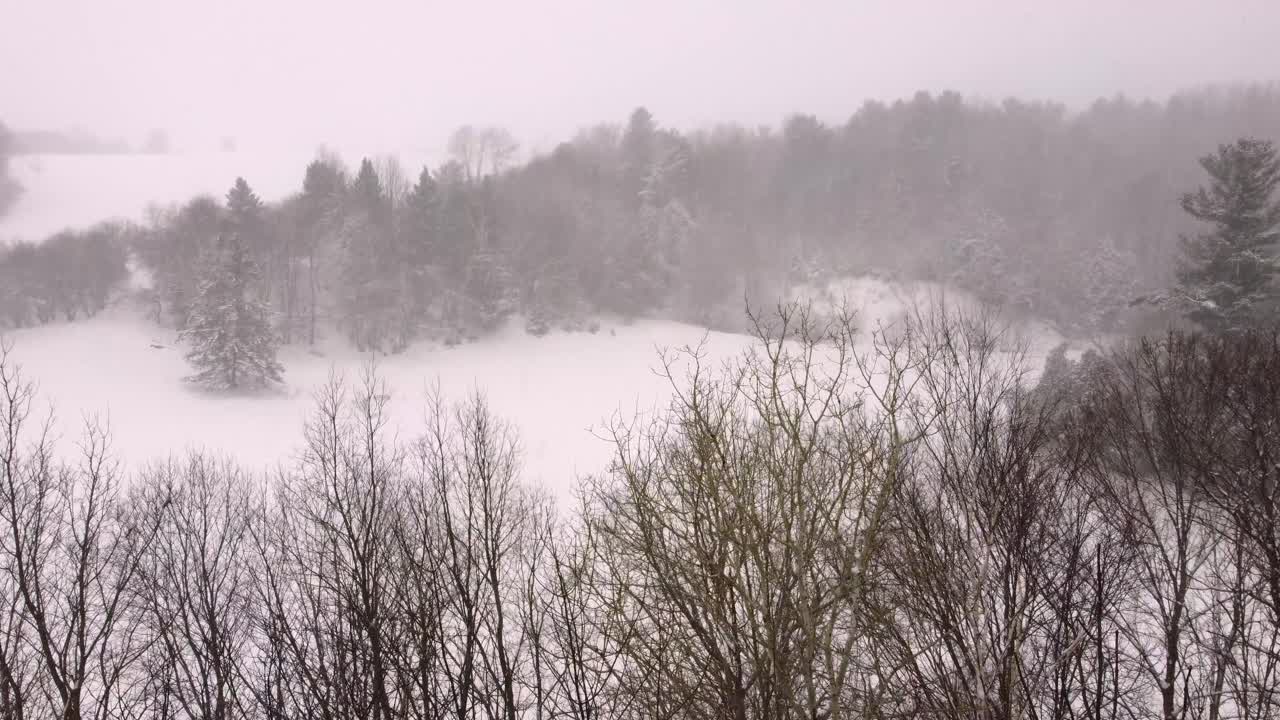Heavy Snowfall in Sherbrooke, Canada, Serene Winter Landscape Scene